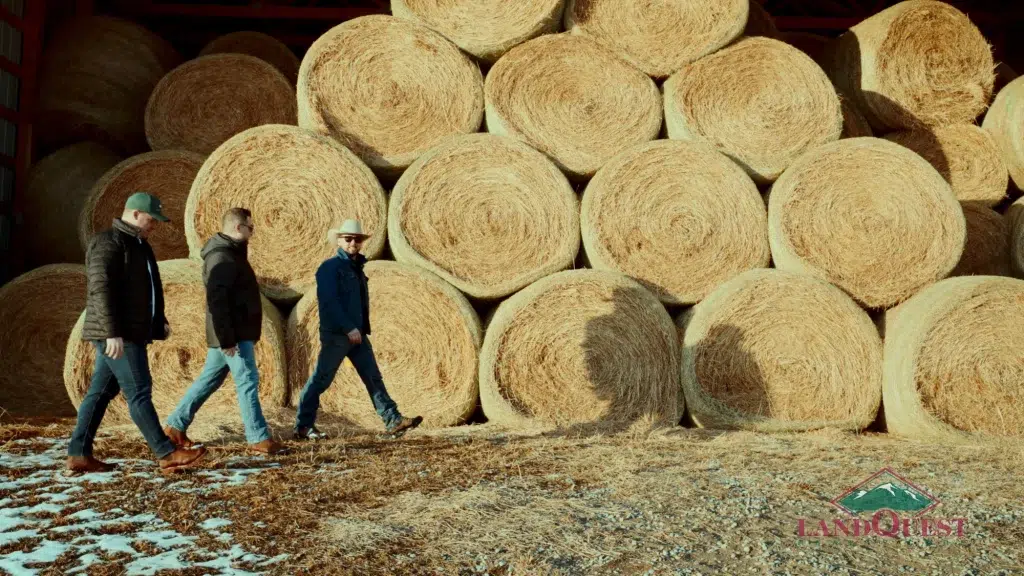 Three people walk across a large stack of hay bales and cast shadows on a sunny morning.